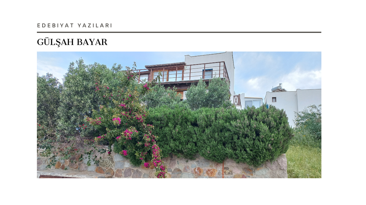 Akıl Oyunları